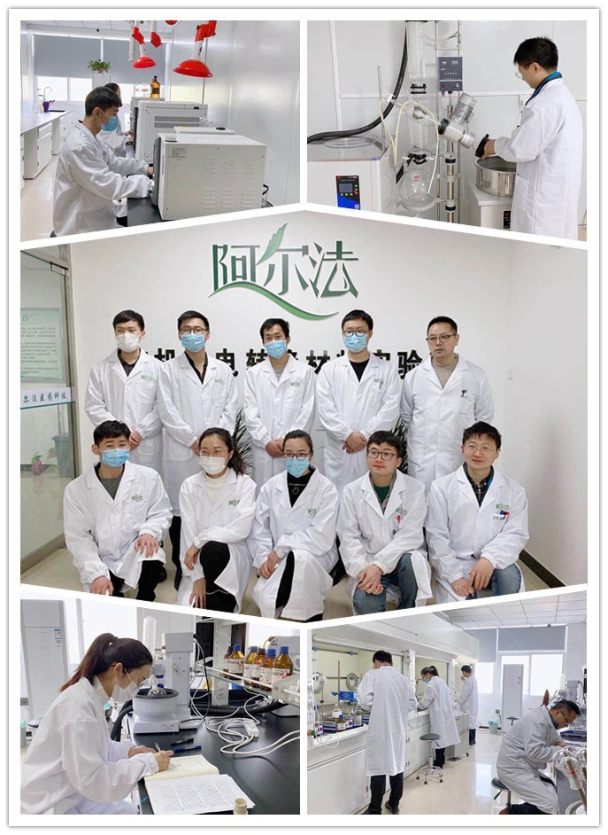 CAS No.2382-96-9 | 2-Mercaptobenzoxazole