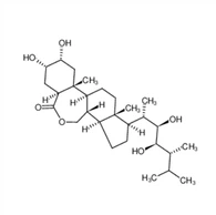 कैस:72962-43-7|ब्रैसिनोलाइड